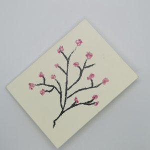 Cherry Blossom
