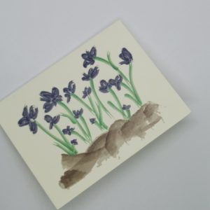 Iris